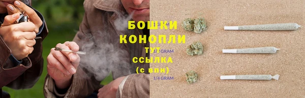 стаф Магадан