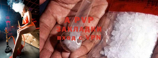 стаф Магадан