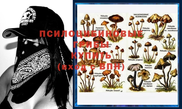 стаф Магадан