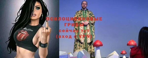 дурь Майский