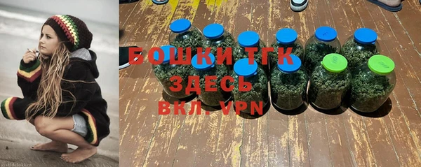 стаф Магадан