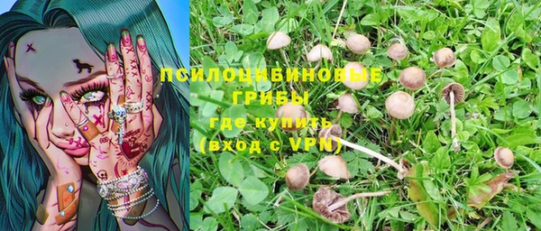 дурь Майский