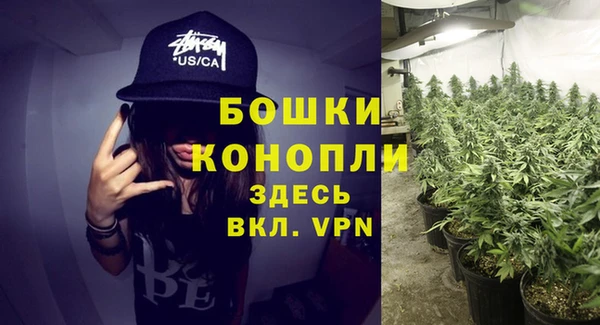 mdpv Магас