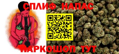 прущие крисы Кандалакша