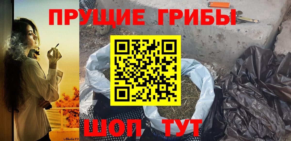 Галлюциногенные грибы прущие грибы  Вход с VPN  Галлюциногенные грибы Psilocybine cubensis  Назрань 